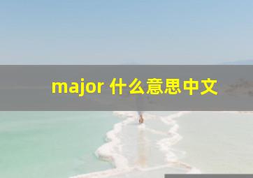 major 什么意思中文